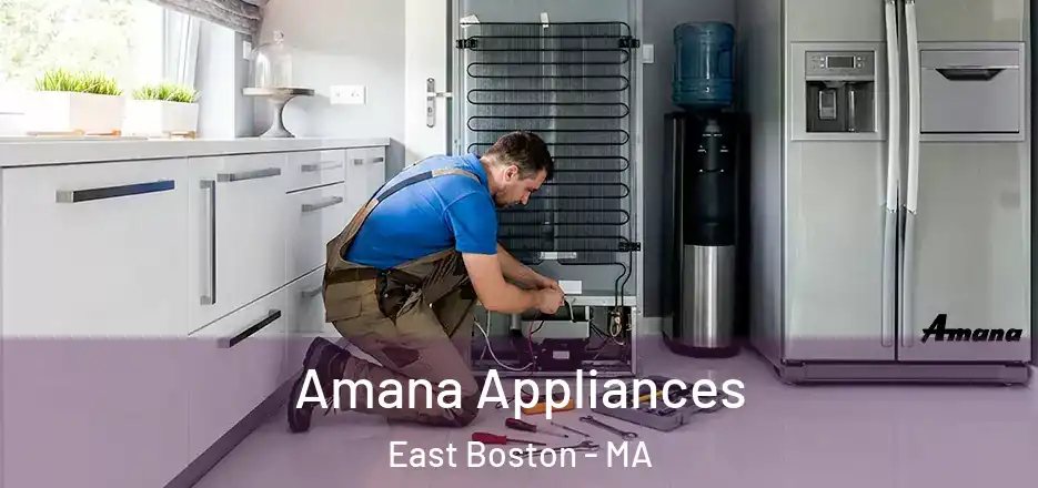  Amana Appliances East Boston - MA