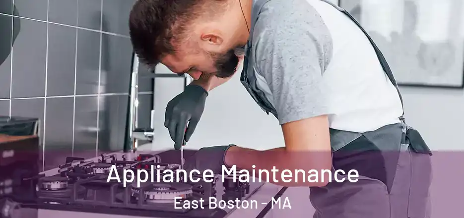  Appliance Maintenance East Boston - MA