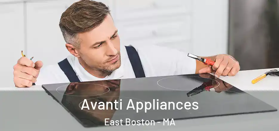  Avanti Appliances East Boston - MA