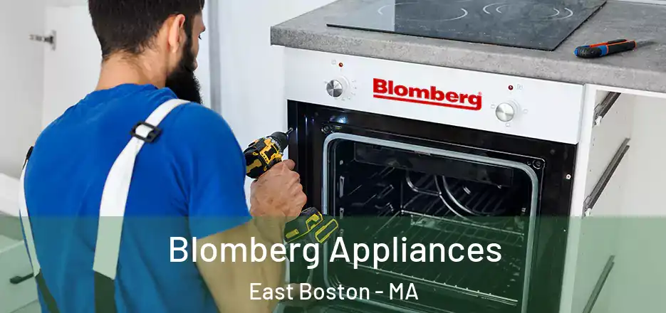  Blomberg Appliances East Boston - MA