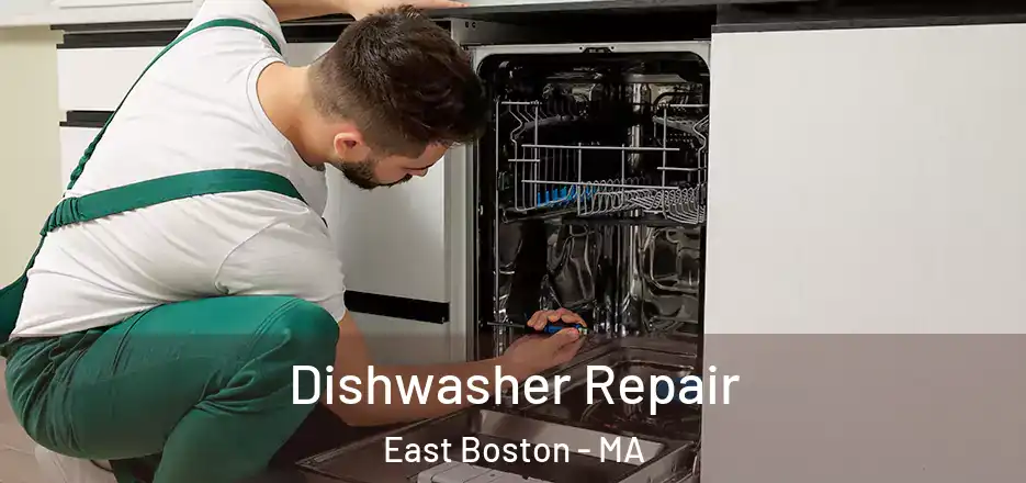  Dishwasher Repair East Boston - MA