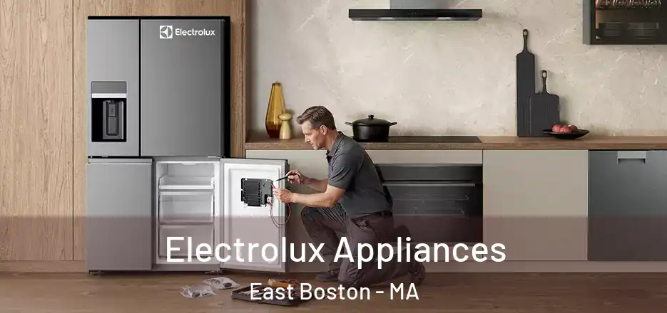  Electrolux Appliances East Boston - MA