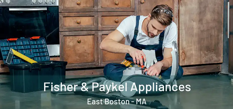  Fisher & Paykel Appliances East Boston - MA