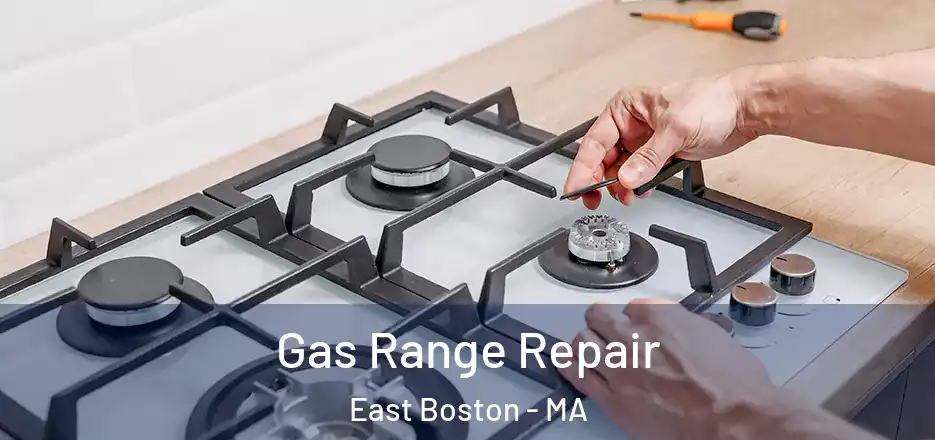  Gas Range Repair East Boston - MA