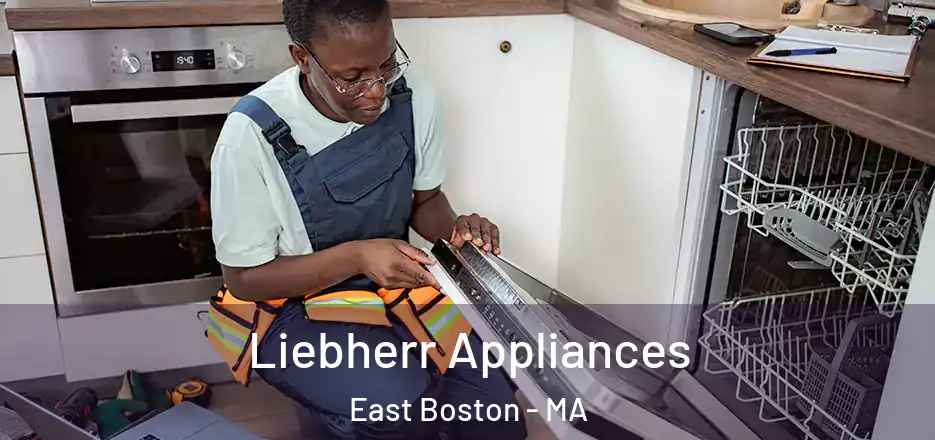  Liebherr Appliances East Boston - MA