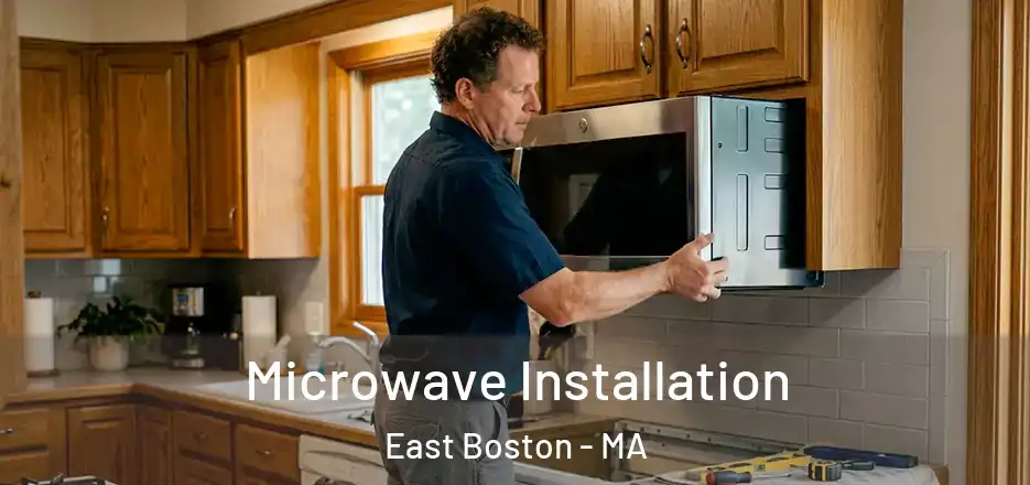  Microwave Installation East Boston - MA