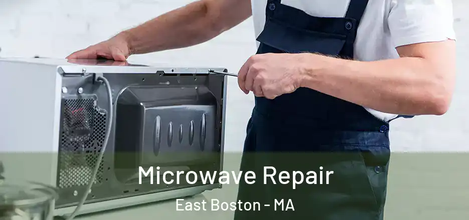  Microwave Repair East Boston - MA