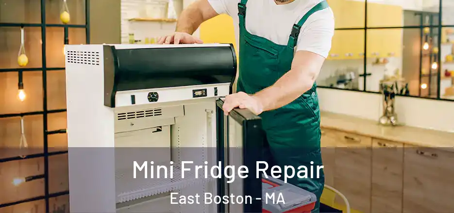  Mini Fridge Repair East Boston - MA