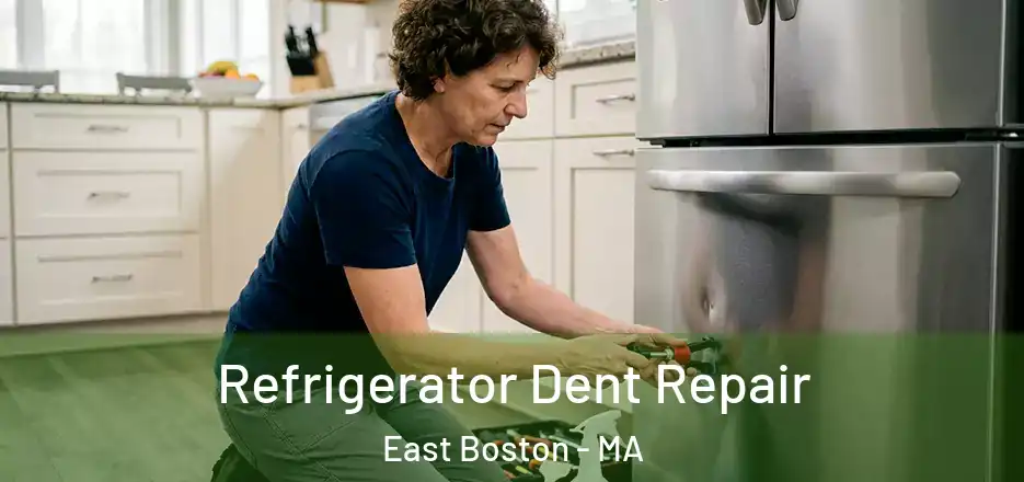  Refrigerator Dent Repair East Boston - MA