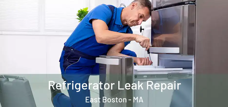  Refrigerator Leak Repair East Boston - MA