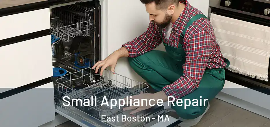  Small Appliance Repair East Boston - MA