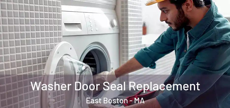  Washer Door Seal Replacement East Boston - MA